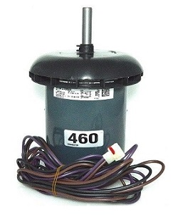 MOT06765